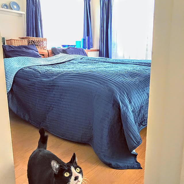 hiyo.pietさんの実例写真