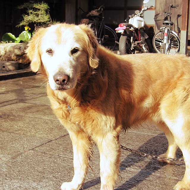 Hirokiさんの実例写真