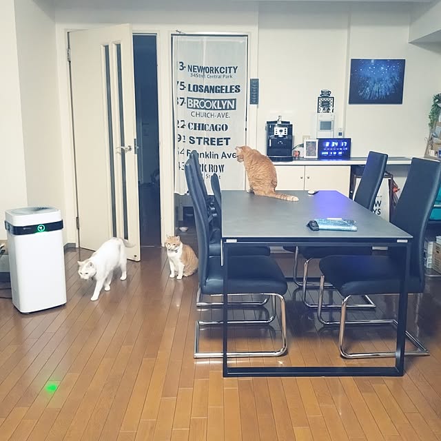 NOAHさんの実例写真