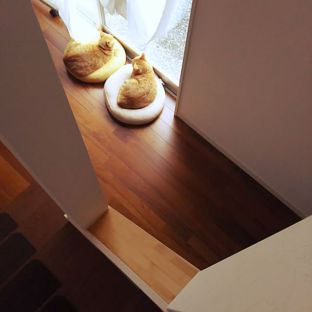 37さんの実例写真