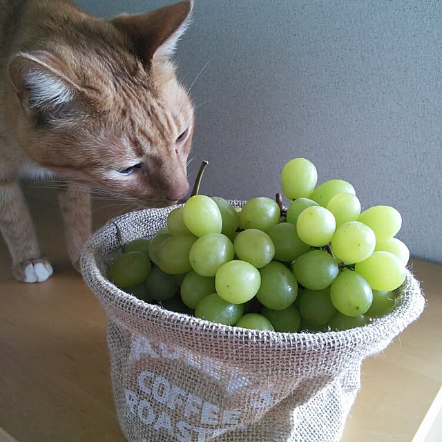 seasky825さんの実例写真