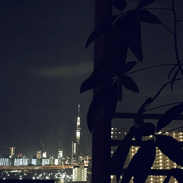 HKSさんの実例写真
