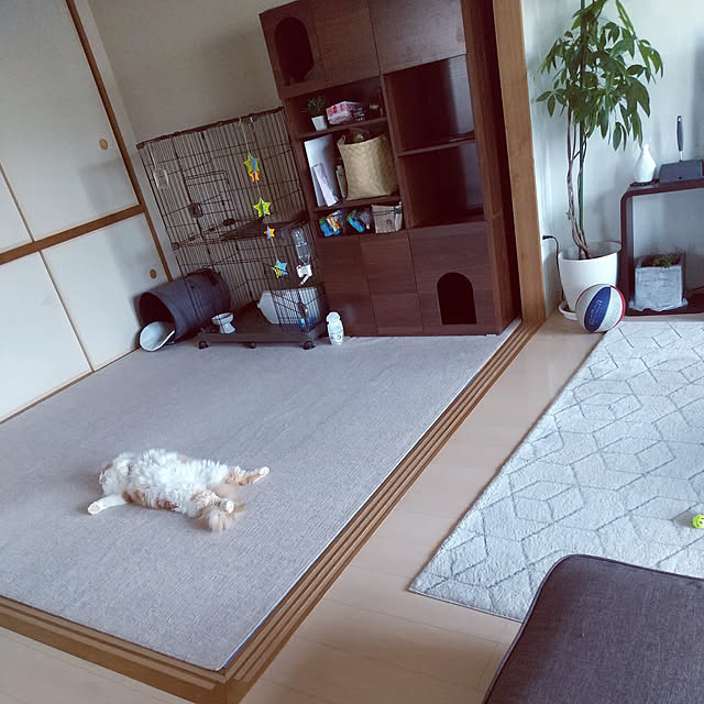 Akiさんの実例写真