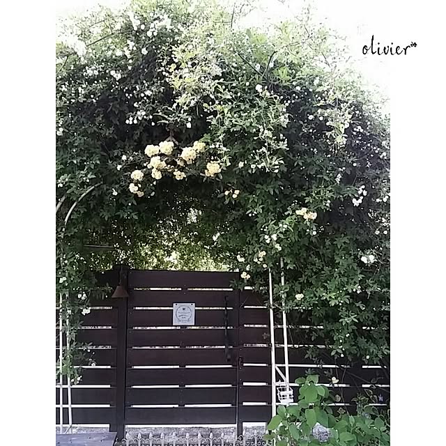 olivierさんの実例写真