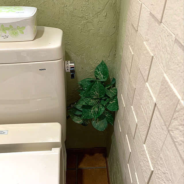 mizucchiさんの実例写真