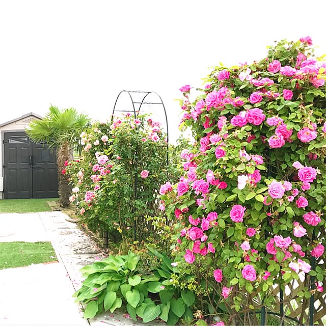 HappyRoseさんの実例写真