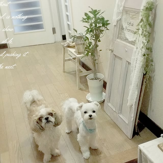 akiko.8さんの実例写真