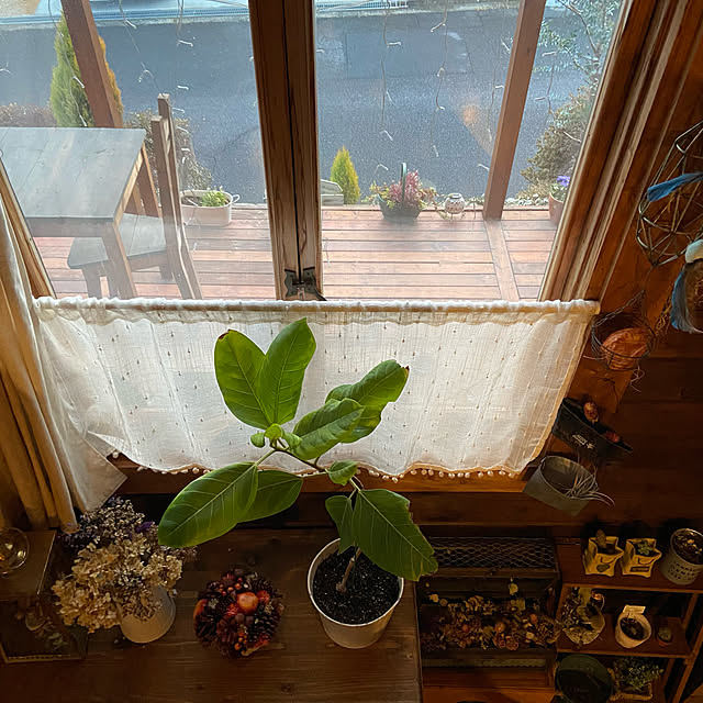 murasaki808さんの実例写真
