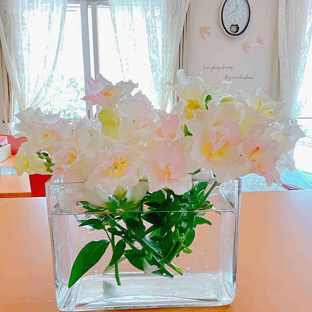 moolさんの部屋