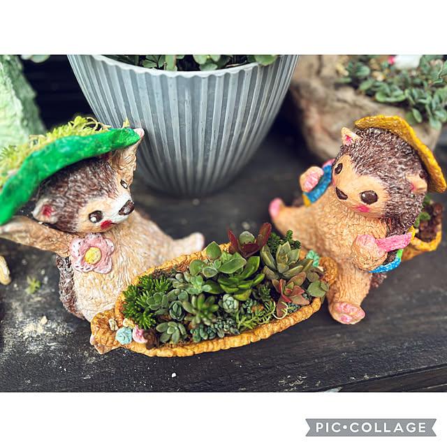 CoCo0617さんの部屋