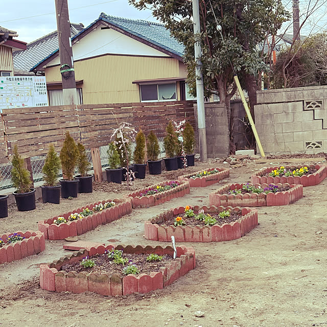 akkeyさんの実例写真