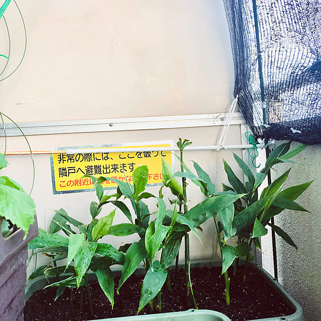 hanachanさんの部屋