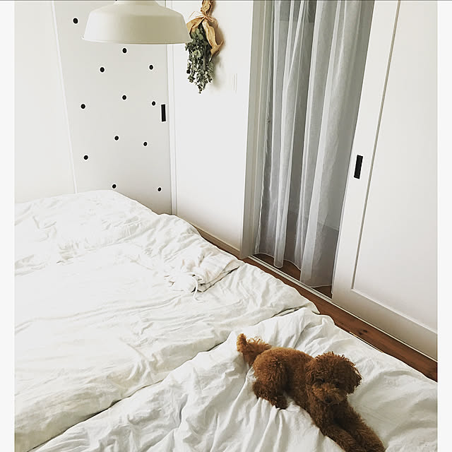 tomoさんの実例写真