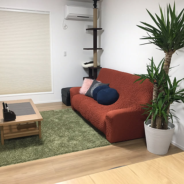 mayuさんの実例写真