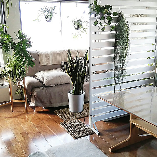 hira_muji_mihiさんの実例写真