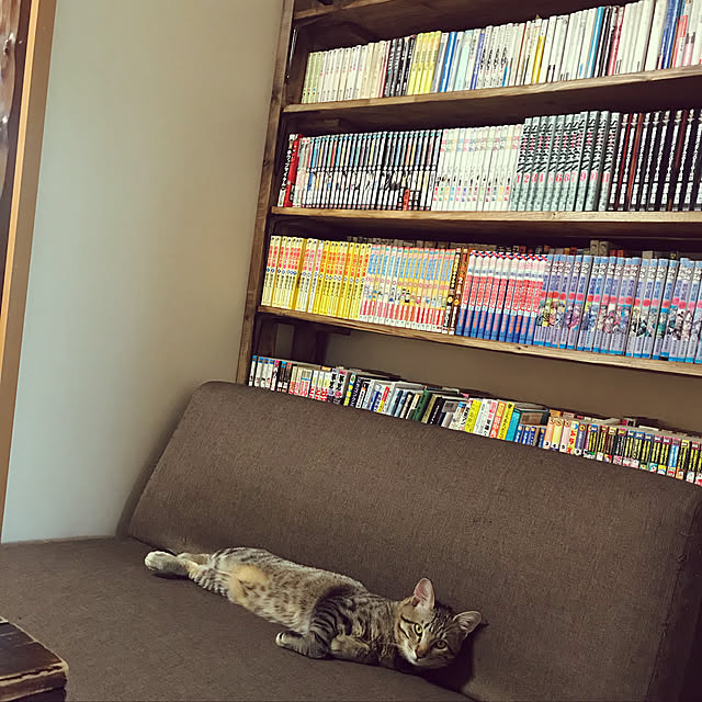 mikan161さんの部屋