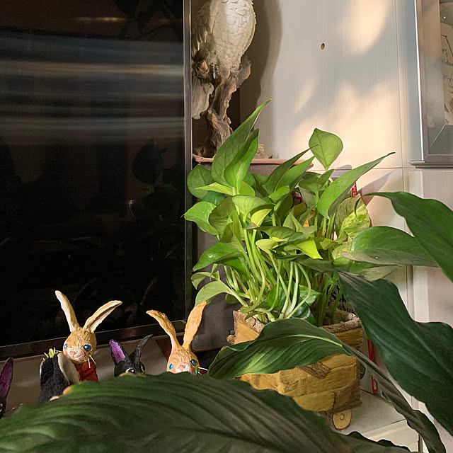 Aqettyさんの部屋