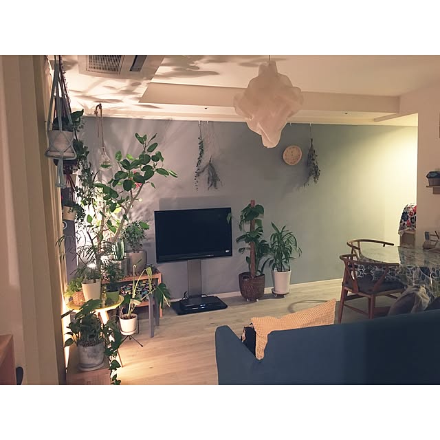 naoさんの実例写真
