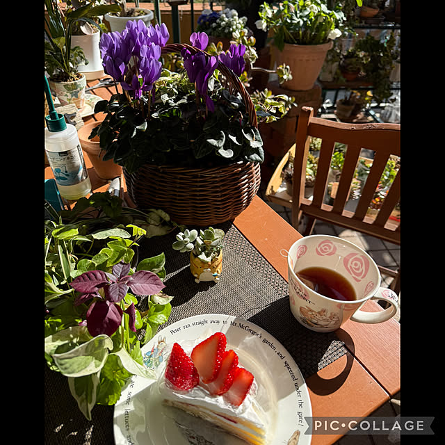 Aqettyさんの部屋