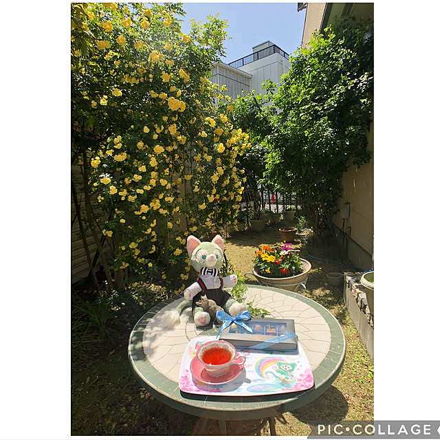 roserose555さんの実例写真