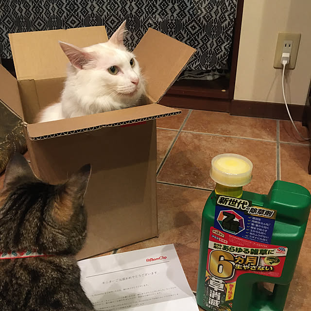 shigimiさんの実例写真