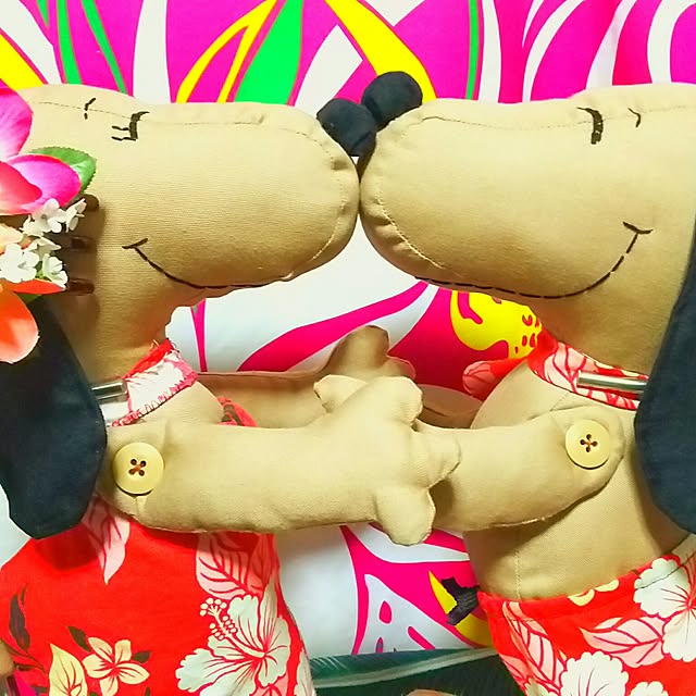 izupezさんの実例写真