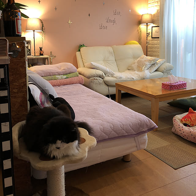 kanaさんの実例写真