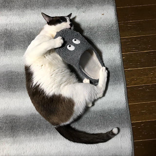 vivienne.coco-keiさんの実例写真