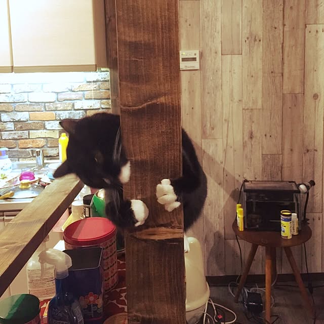 Nawさんの実例写真