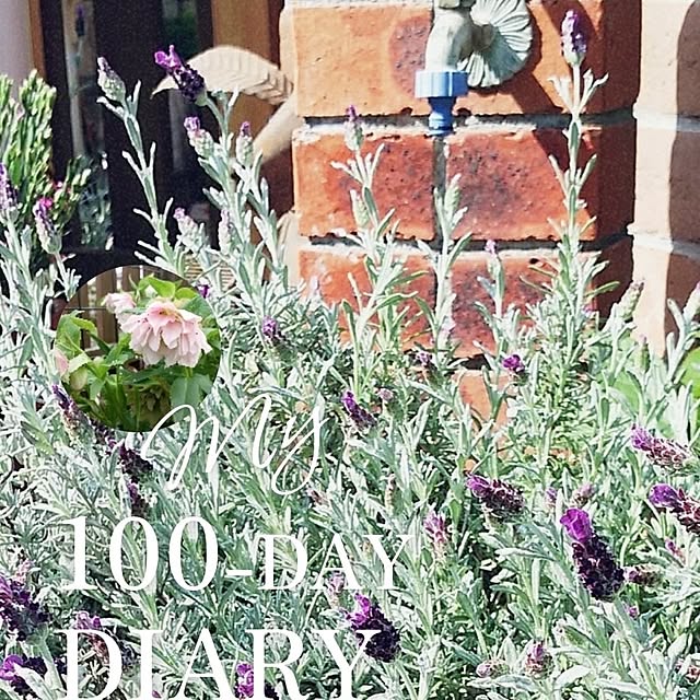 VIORAさんの部屋