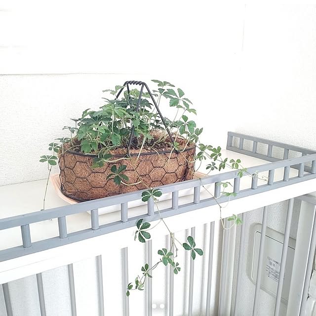 Bienvenueさんの部屋
