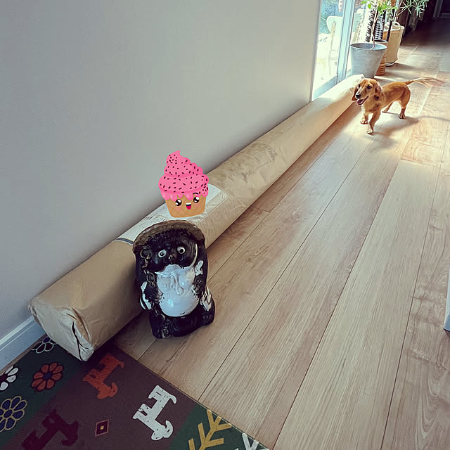 uninekoさんの実例写真