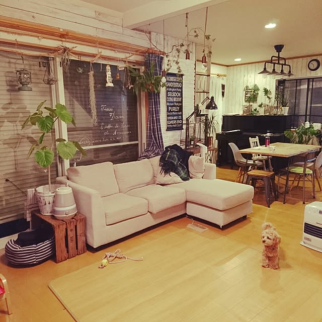 montresoryuzuhaさんの実例写真
