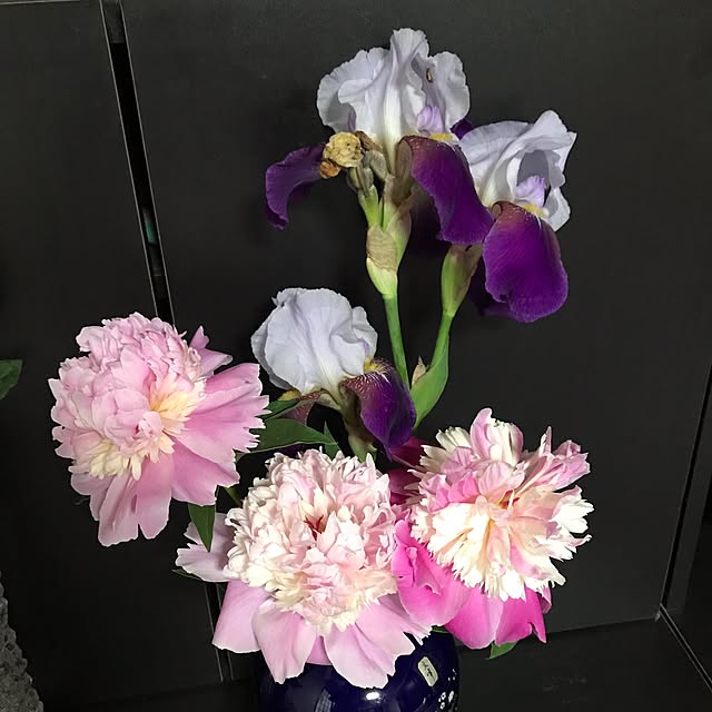 1182さんの実例写真