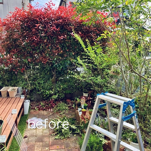 tararaさんの部屋