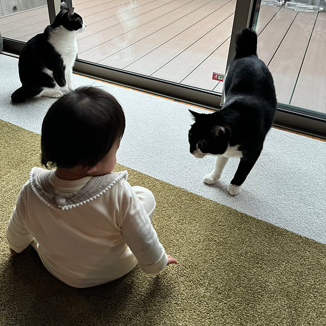 porinさんの部屋