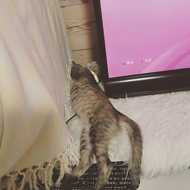 pumehanaさんの実例写真