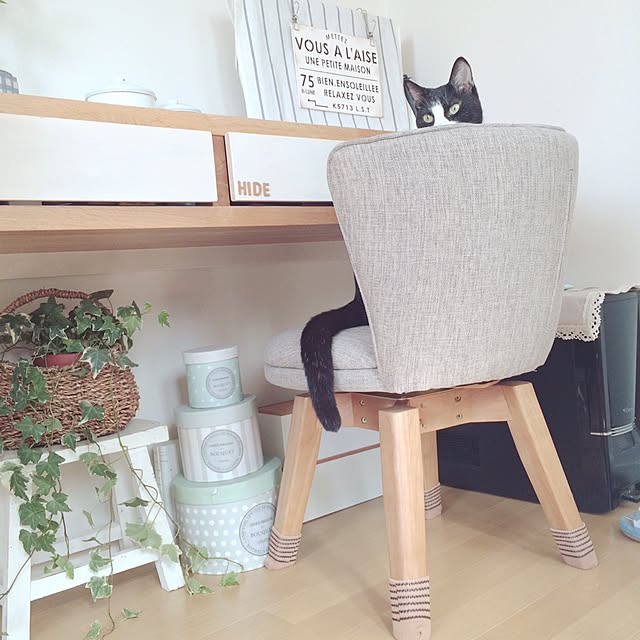 lovecatさんの実例写真