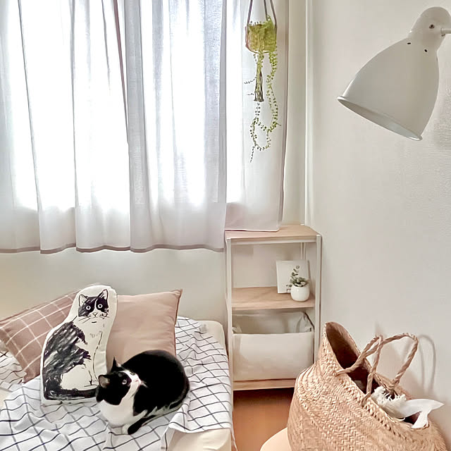 kiyomiさんの部屋