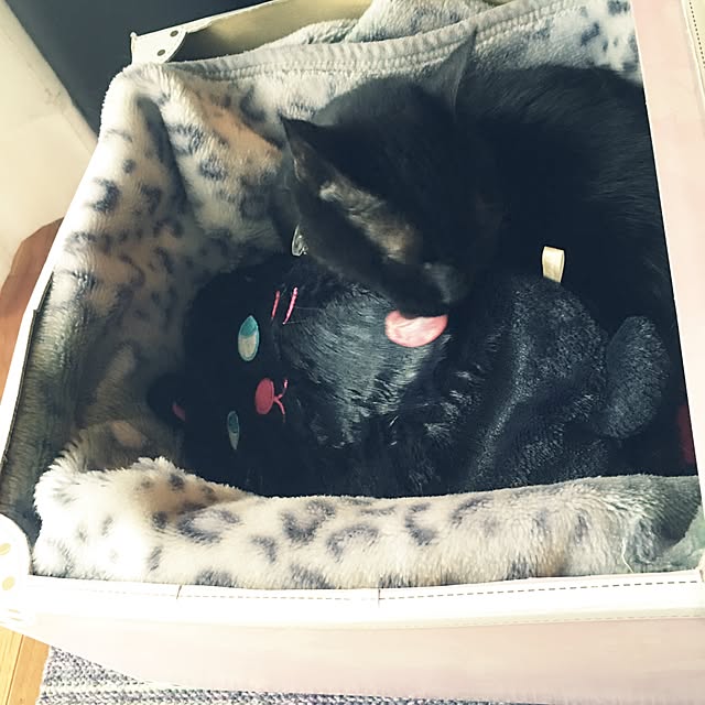 ALPSさんの実例写真