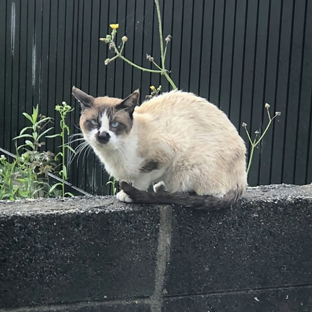 YUKOさんの実例写真