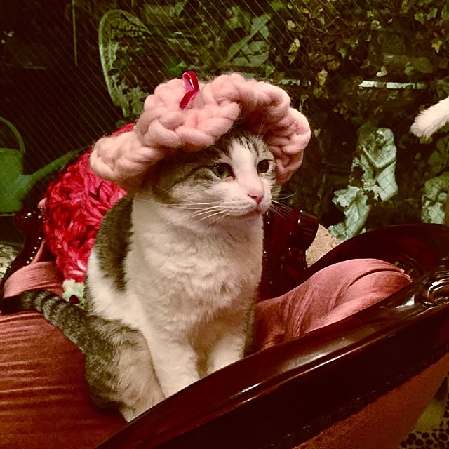 emmyyさんの実例写真