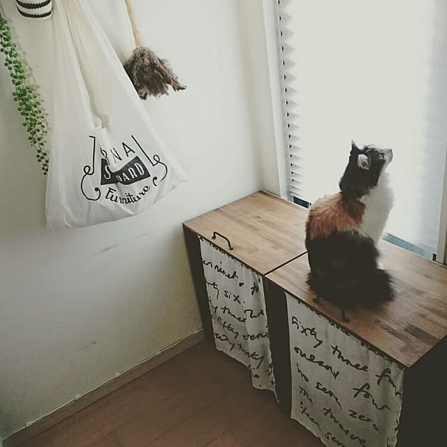 バス/トイレ/NO CAT,NO LIFE❤️/２人と３匹暮らし/IKEA/北欧...などのインテリア実例 - 2018-12-12 06:36:19