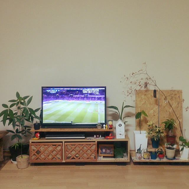 部屋全体/100均/観葉植物/一人暮らし/DIY...などのインテリア実例 - 2016-03-24 21:21:56