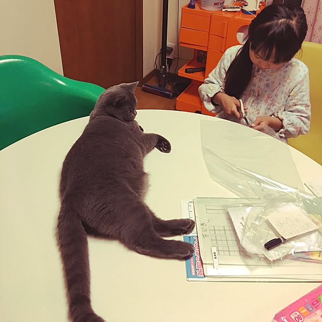 Shojiさんの実例写真