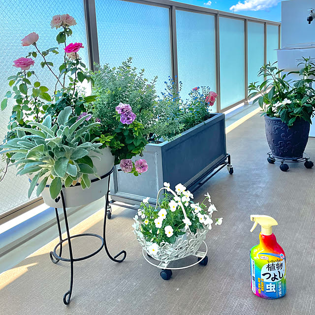 KLさんの実例写真