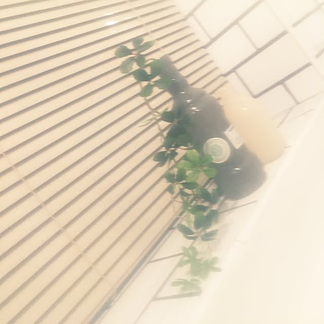 maruさんの実例写真