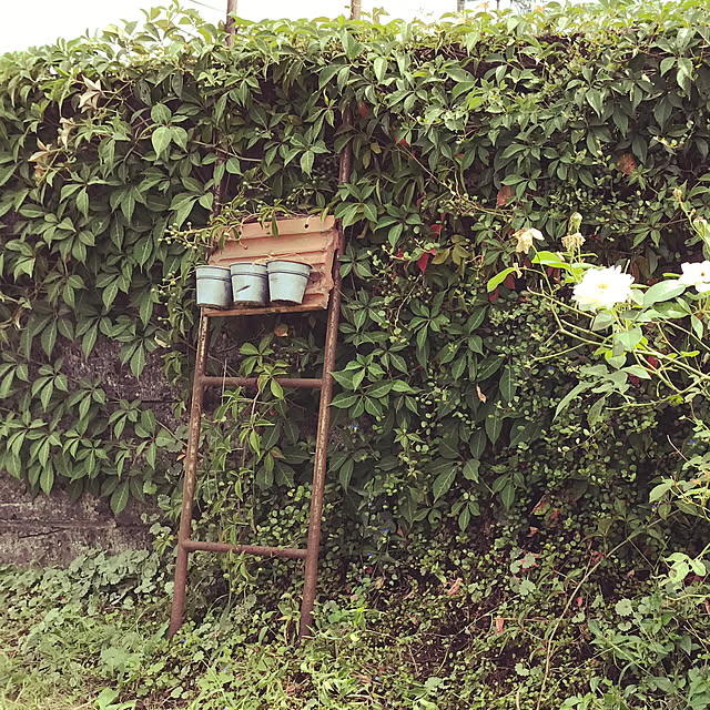 TOROさんの実例写真