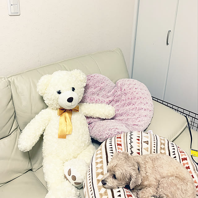 Mさんの実例写真