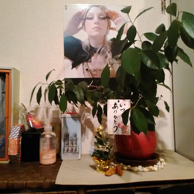 tsanさんの実例写真